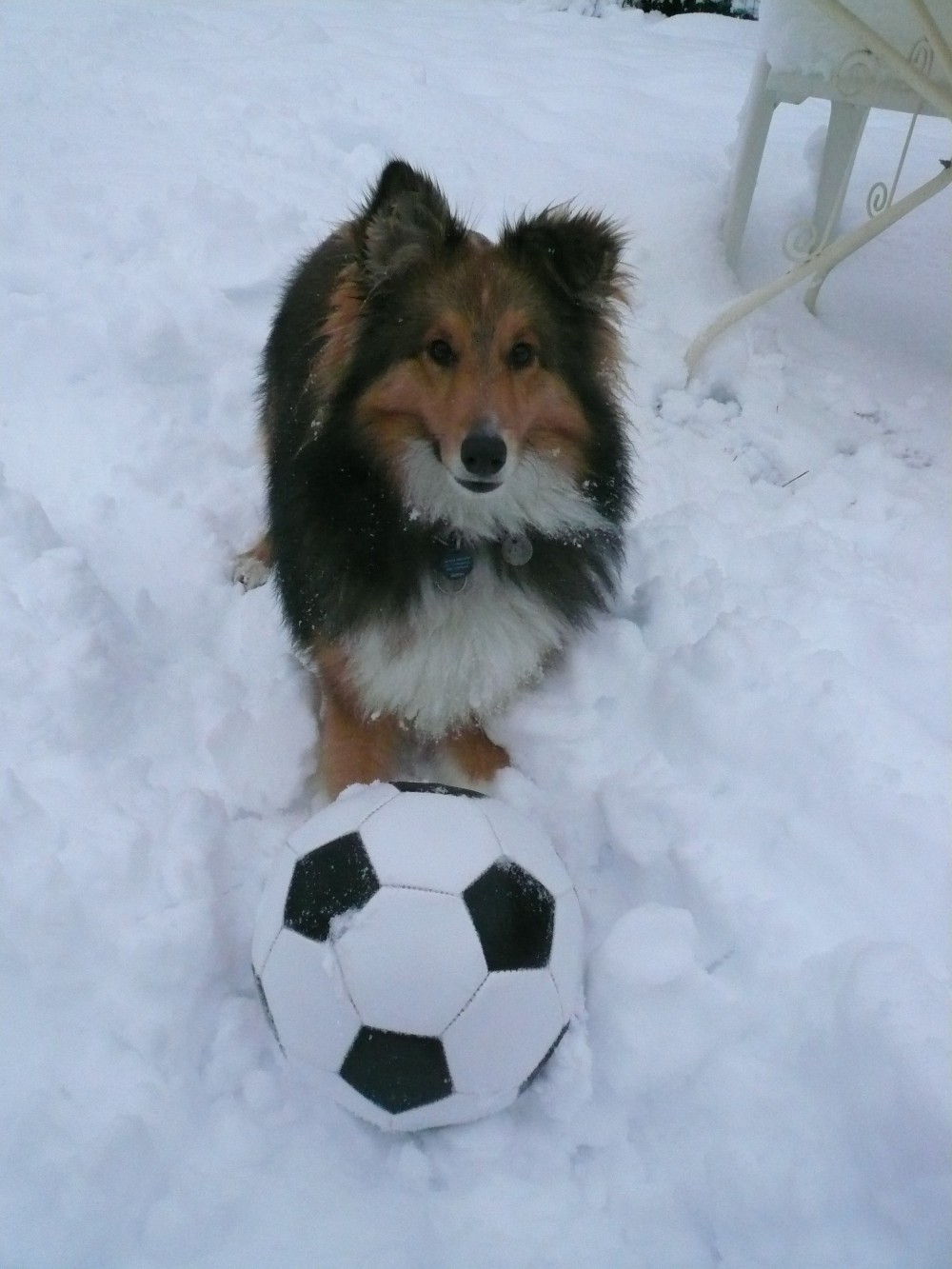 Fly des Dunes de la Cote d'Opale jouant au foot dans la neige de dcembre 2010.